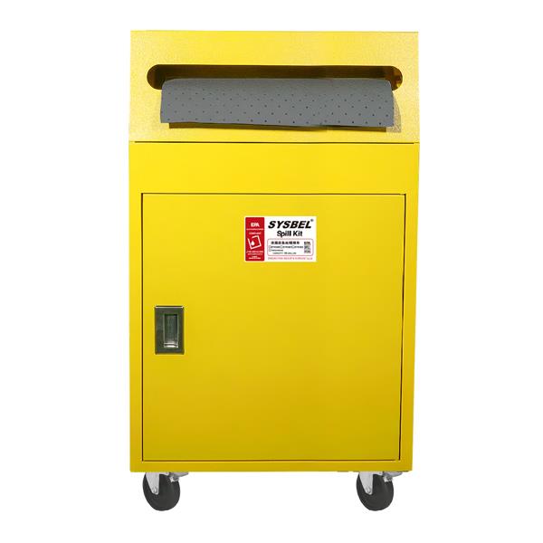 Kits de Derrames en el Carro (Universal)